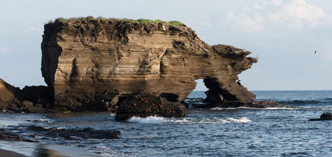 ISLAND OF DISCOVERY - FAMILY