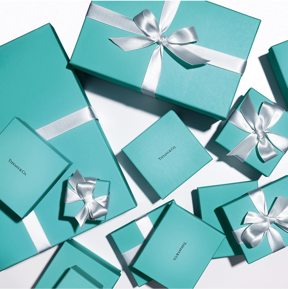 TIFFANY & CO.® JEWELRY