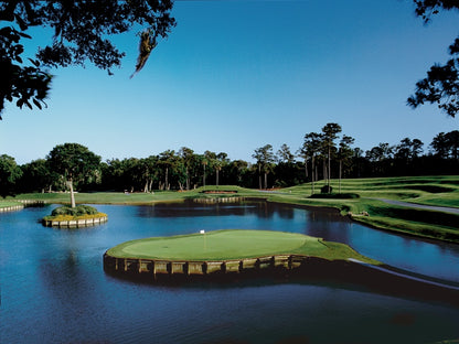 GOLF AT TPC SAWGRASS