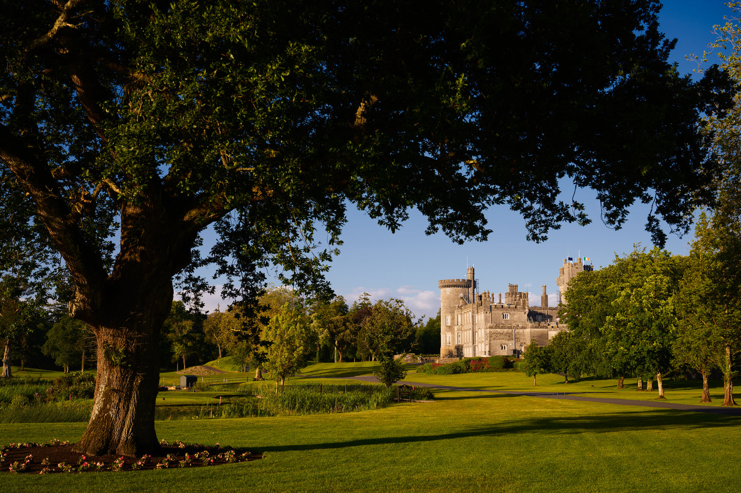 THE MAGIC OF IRELAND