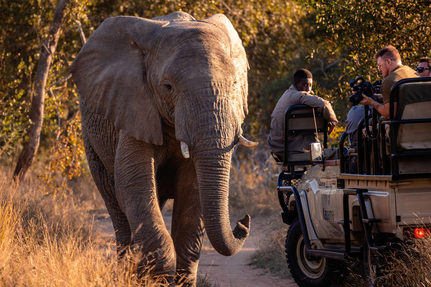 COUPLES AFRICAN SAFARI ADVENTURE