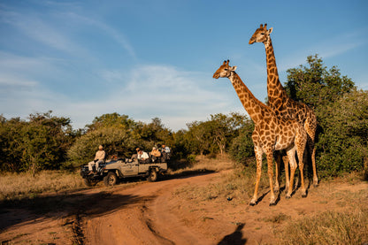 COUPLES AFRICAN SAFARI ADVENTURE