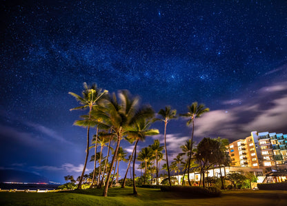 SPIRIT OF ALOHA - FAMILY