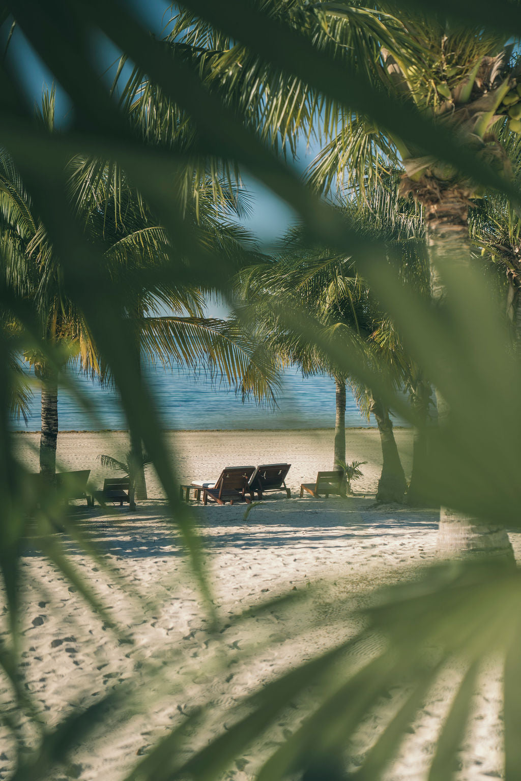 HACIENDAS, CENOTES & THE JUNGLE