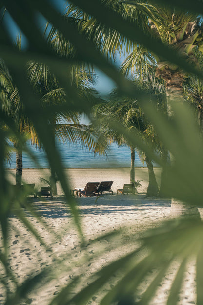 HACIENDAS, CENOTES & THE JUNGLE