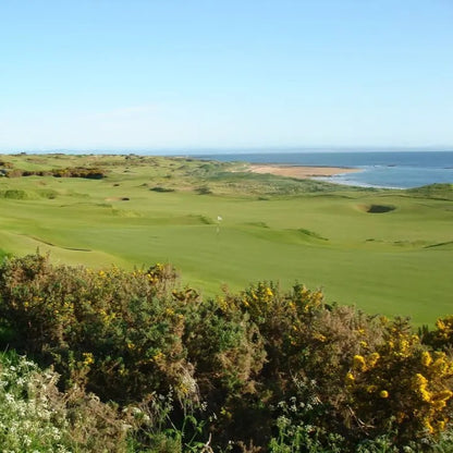 GOLF AT ST. ANDREWS SCOTLAND
